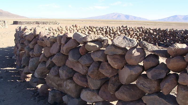 Coipasa Salt Flats S's (16).JPG